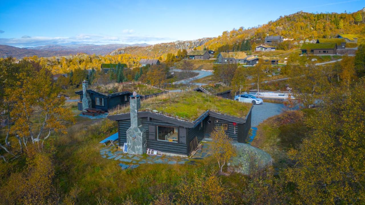 Fjellgrend *